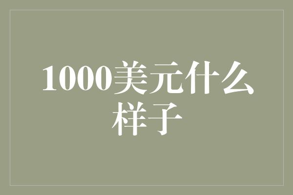 1000美元什么样子