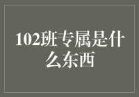 102班专属的文化符号：探索班级特色与精神