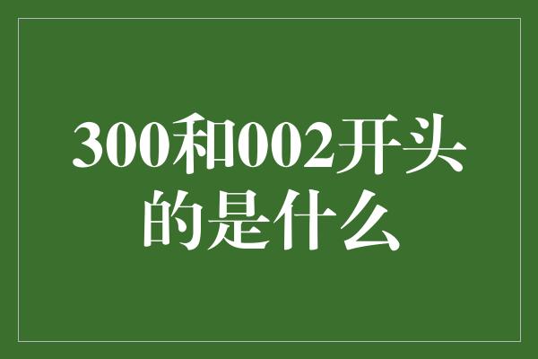 300和002开头的是什么