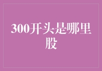 300开头股票大盘点：揭秘中国股市中的300号股