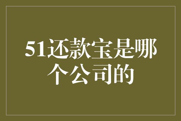 51还款宝是哪个公司的