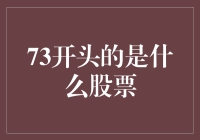 73开头的是什么股票：探索A股市场股票代码的秘密