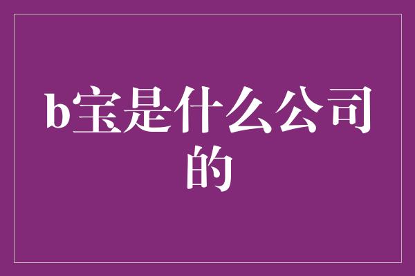 b宝是什么公司的