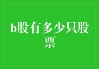 B股市场概览：探索B股股票的数量及其投资潜力