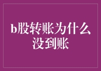 B股转账未到账的可能原因及解决策略