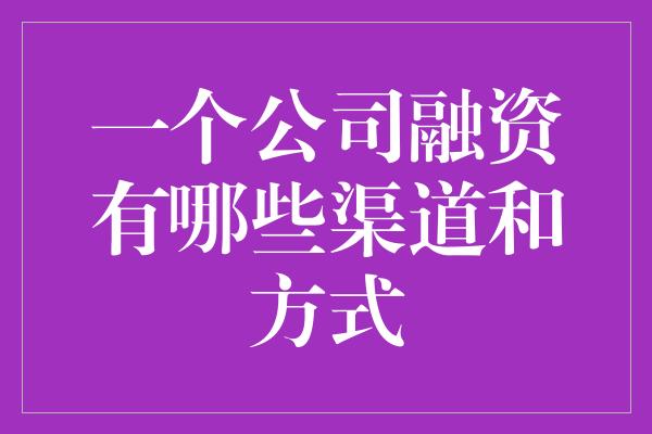 一个公司融资有哪些渠道和方式