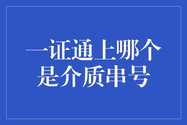 一证通上哪个是介质串号