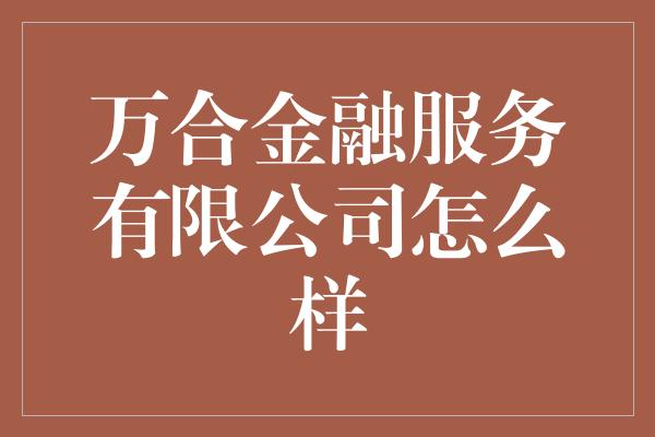 万合金融服务有限公司怎么样