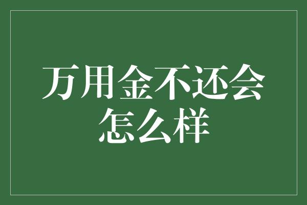 万用金不还会怎么样