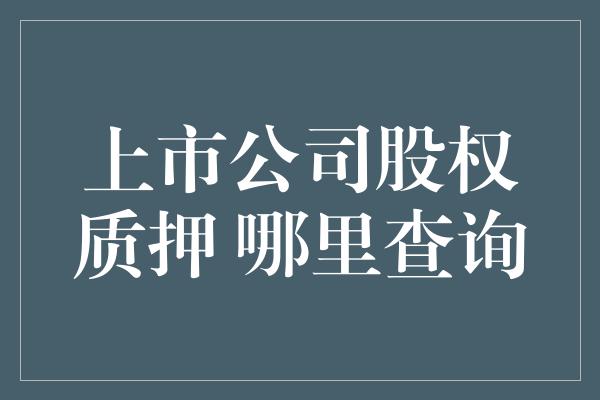 上市公司股权质押 哪里查询