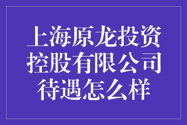 上海原龙投资控股有限公司待遇怎么样