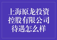 上海原龙投资控股有限公司待遇怎么样？全面解析