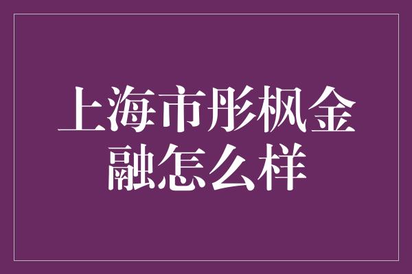 上海市彤枫金融怎么样