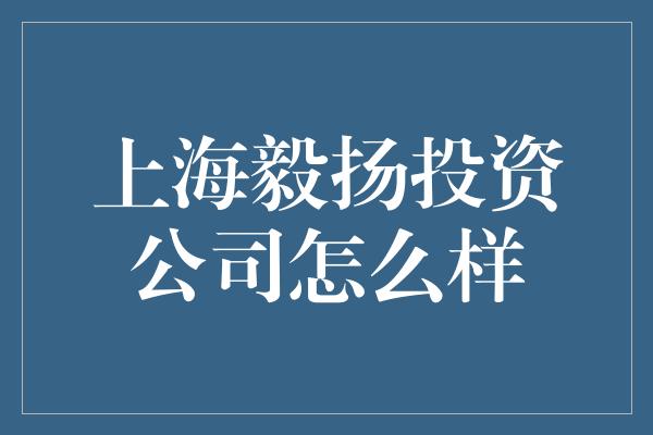 上海毅扬投资公司怎么样