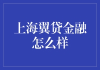 上海翼贷金融：新兴金融科技的典范与挑战