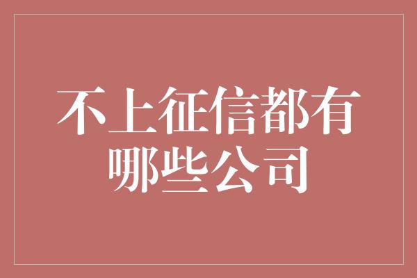 不上征信都有哪些公司