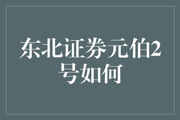 东北证券元伯2号如何