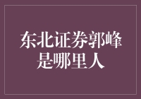 东北证券郭峰的神秘故乡：来自东北的股市逐梦人