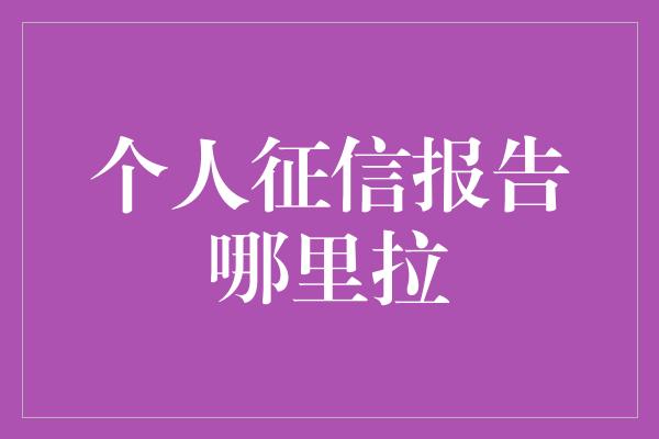 个人征信报告哪里拉