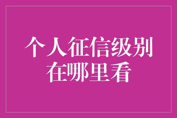 个人征信级别在哪里看