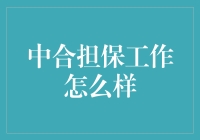 从零开始的金融冒险家：中合担保工作的那些事儿