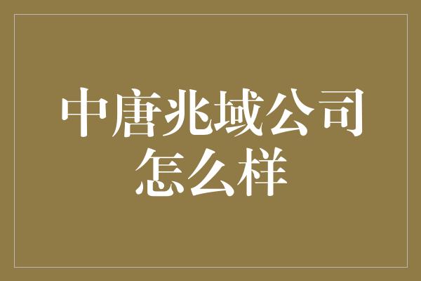 中唐兆域公司怎么样