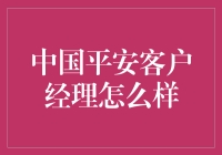 中国平安客户经理：专业素养与服务精神的完美融合