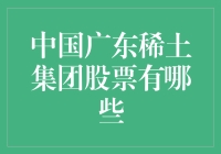 中国广东稀土集团股票的投资价值探索