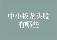 中小板龙头股的投资策略与分析——以医药、科技和消费领域为例