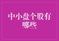 中小盘个股投资策略：寻找市场的下一个明星