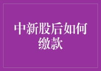 中新股后如何缴款：详尽指南与策略分析