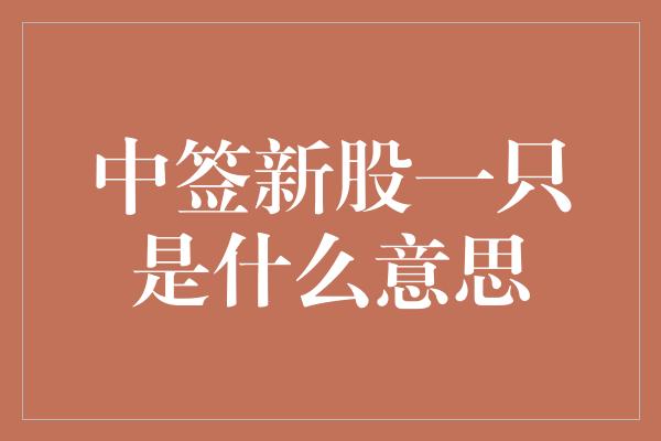 中签新股一只是什么意思