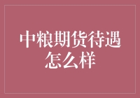 中粮期货待遇揭秘：探索金融界的黄金平台