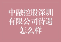 中融控股深圳有限公司待遇深度解析：职场新人的观察视角