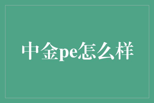 中金pe怎么样