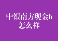 中银南方现金B：真的那么'牛'吗？