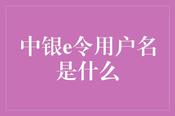 中银e令用户名是什么