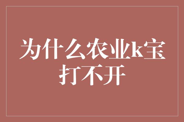 为什么农业k宝打不开