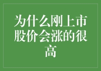 为什么刚上市股价会涨的很高：市场资本化与投资者热情的共鸣