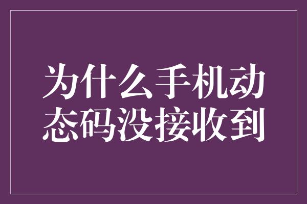 为什么手机动态码没接收到