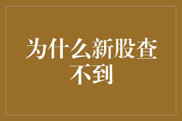 为什么新股查不到