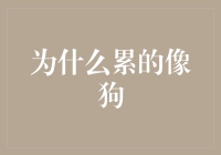 累得像狗：现代人的生存压力与心理疲劳