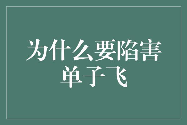 为什么要陷害单子飞