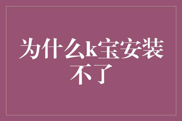 为什么k宝安装不了