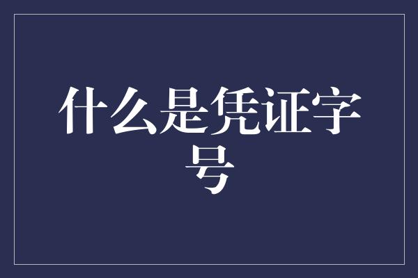 什么是凭证字号