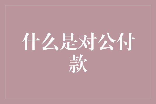 什么是对公付款