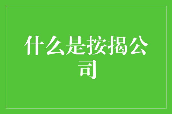 什么是按揭公司