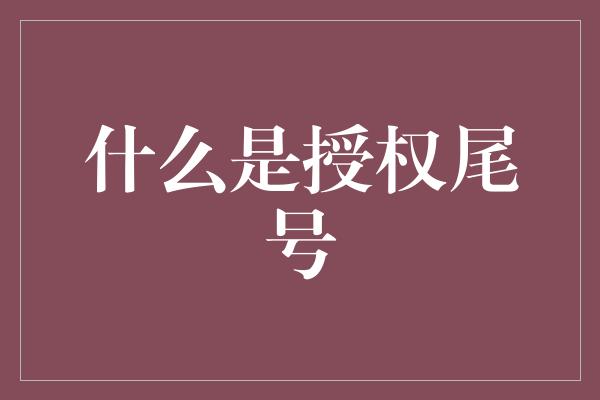 什么是授权尾号