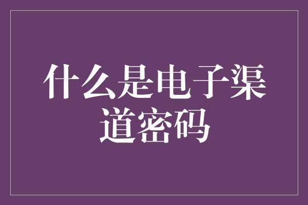 什么是电子渠道密码