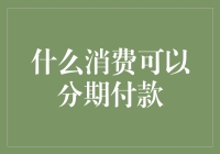 什么消费可以分期付款？来点不寻常的！